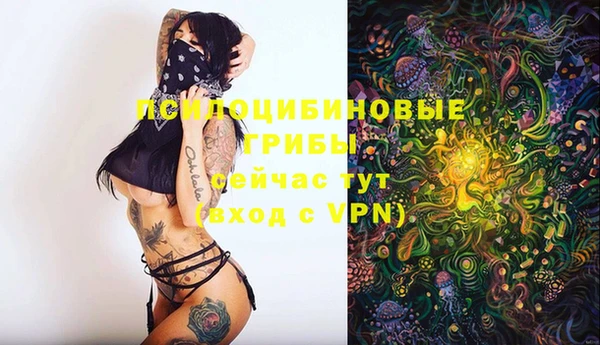 бутират Гусь-Хрустальный