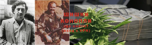 дживик Гусиноозёрск