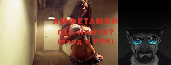 ГАЛЛЮЦИНОГЕННЫЕ ГРИБЫ Тавда