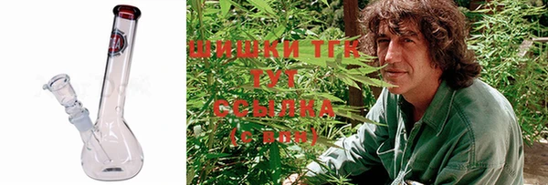 ГАЛЛЮЦИНОГЕННЫЕ ГРИБЫ Тавда