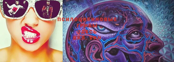 дживик Гусиноозёрск