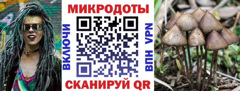 Псилоцибиновые грибы Cubensis  Галич 